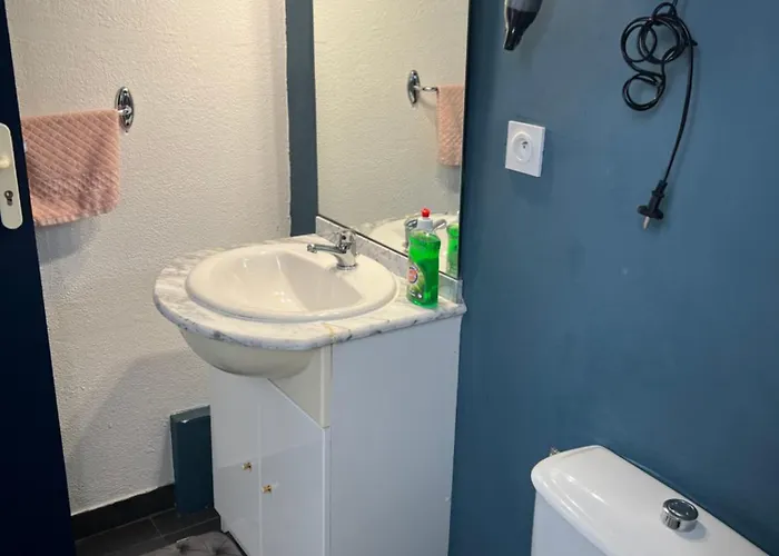 Apartment Sainte Therese - La Selva Lourdes